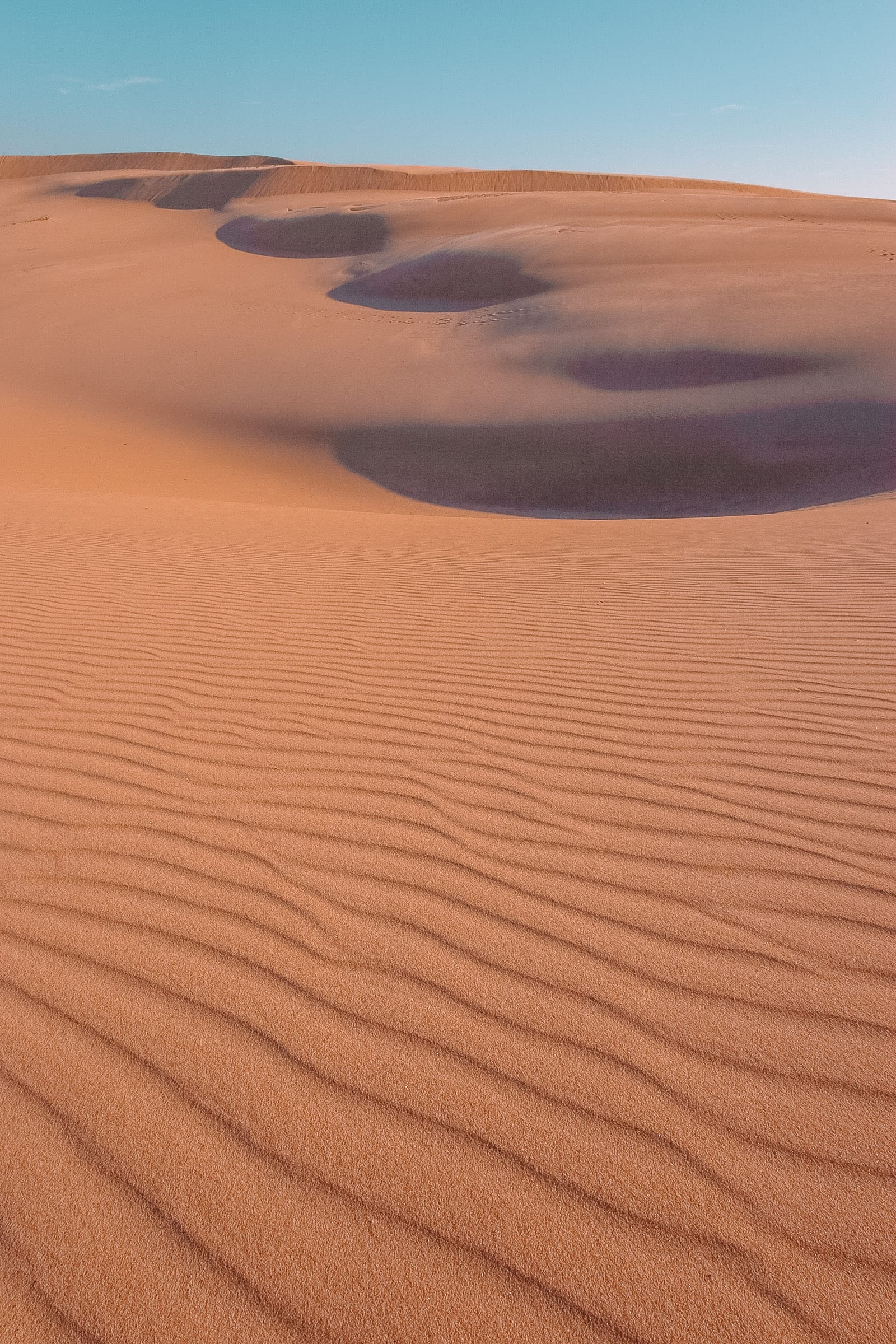 Best Things To Do In Michigan This Year sand dunes northern Michigan Silver Lake Sand Dunes