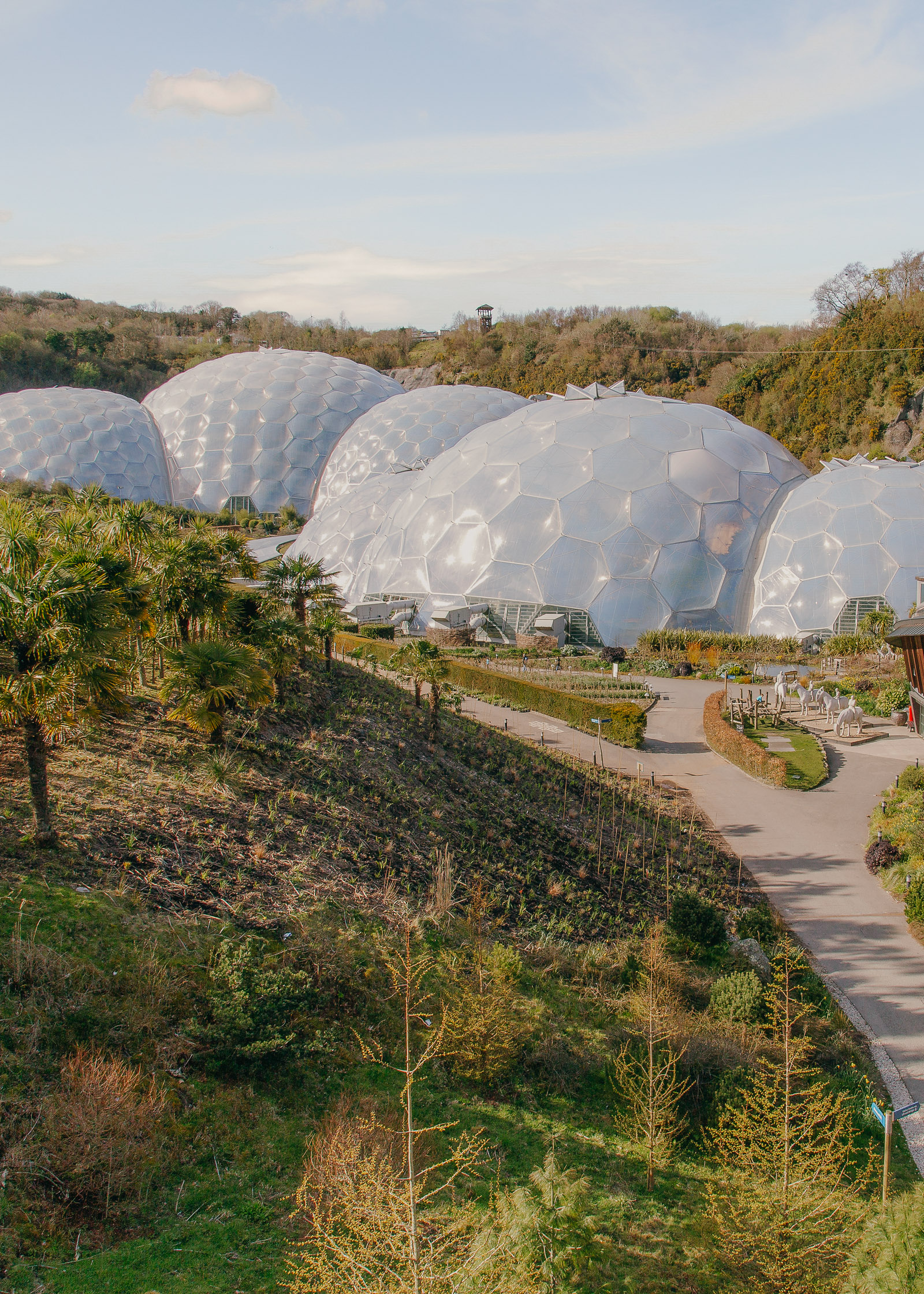 Best Areas In Cornwall To Visit England Eden Project